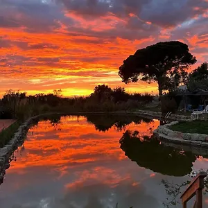 Oasis Camp Portugal Glamping